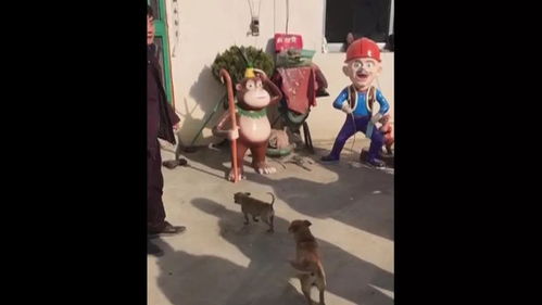 谁杀了光头强?这是吉吉国王(光头强杀小姐姐)
