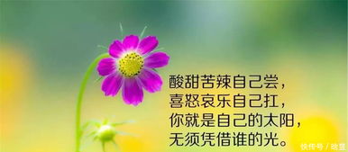 早上好的句子_早安心语(早上好的句子早上好图片)