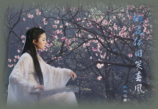桃花劫是什么意思(女人犯桃花劫是什么意思)