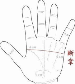 十大吉祥手掌图解非常罕见(十大罕见吉祥手相图解)