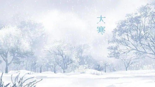冬日暖阳的美丽句子(愿你如冬日暖阳的经典句)