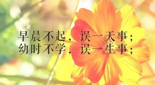懂得感恩的正能量句子(感恩团队正能量的句子)