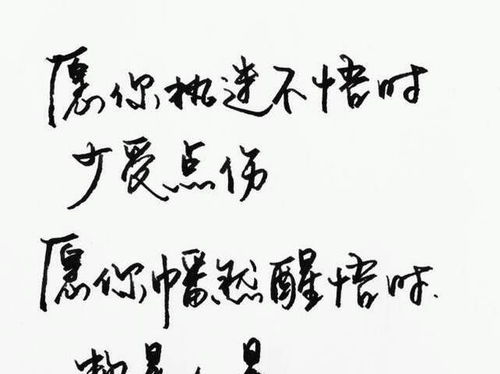 坚持每天努力的句子(坚持努力的好句好段)
