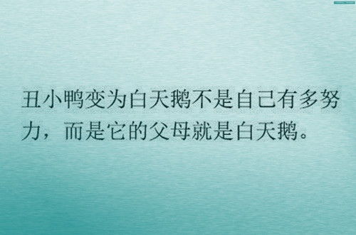 友谊的句子美丽的超级短句(关于友谊的美丽句子)
