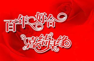 新婚贺词简短精辟的句子(新婚贺词简短精辟句子)