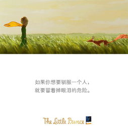 小王子经典语录(小王子经典语录中英对照)
