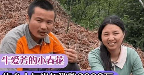 牛爱芳小春花的真实情况(牛爱芳的小春花直播)