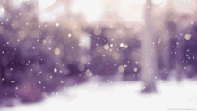最好用一生的清泪给你下一场大雪白