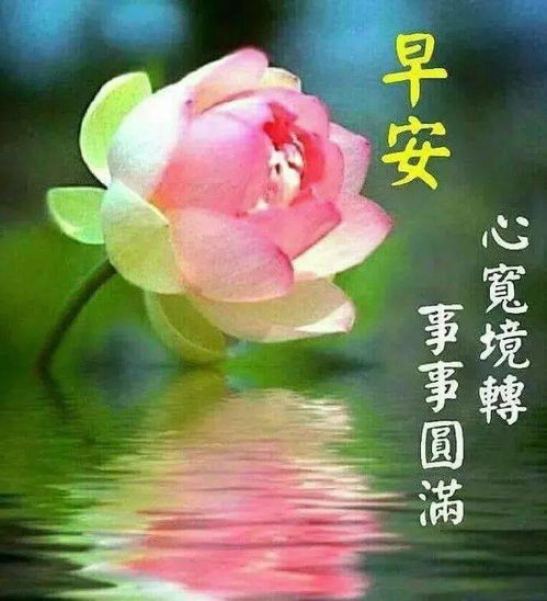 天气冷却时,注意保暖的暖心句(天气冷却觉得热)