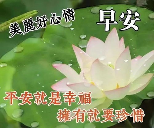 早上的句子适合发送朋友圈(适合早上发的句子有哪些)