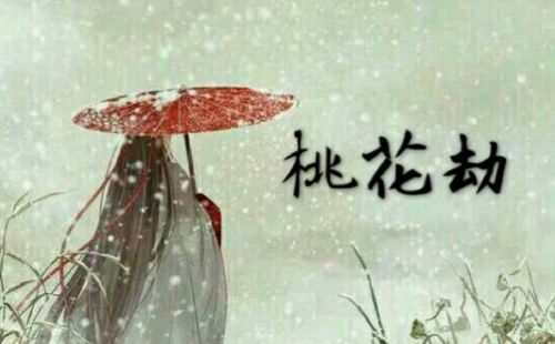 网络语言躺平是什么意思(躺平是什么网络语言)