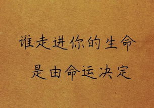 简爱经典语录(简爱经典语录你以为我穷)