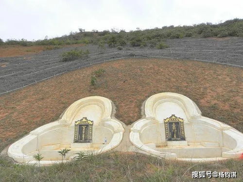 坟墓里种什么树?(坟墓前种什么树好)