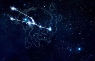 十二星座五大学霸排行榜(十二星座五大学霸排名表)
