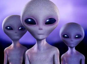 如果你看到ufo或外星人 ET之后,你会和别人分享你的经历 如果你看到现在的我会不会觉得亏欠我