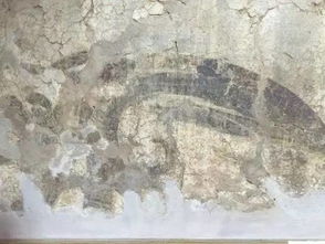 秦朝的画是什么?温湿度保护每年只需1万元! 秦朝吃的食物是什么