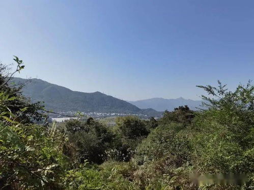 早在五六千年前的新石器时代晚期,祖先就在山海交汇处工作生活 早在五六千年前英语