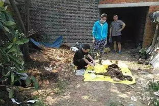 安徽夫妇不和,丈夫一锤子打死妻子,主动要求枪杀自己