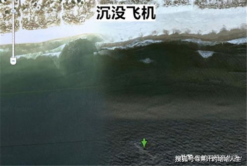 Google地图上拍摄的10张奇怪照片 google地图下载安卓版下载