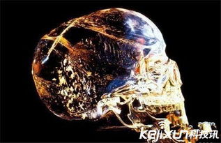 世界十大未解之谜 鲨鱼处女产子之谜 未解之谜大全