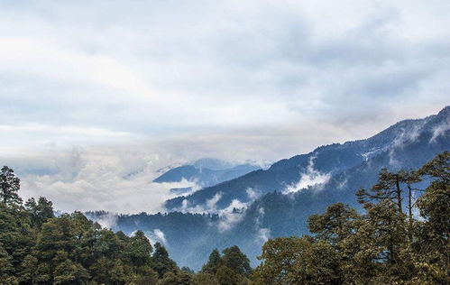 四川瓦屋山迷魂在哪里? 迷魂函四川瓦屋山探险