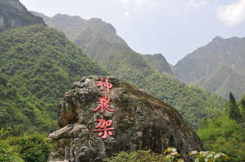 世界十大旅游城市消费高昂 你最喜欢哪一个? 世界十大旅游城市排名