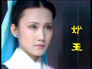 《红楼梦》中的十大珍宝 红楼梦中的英莲长大后是谁