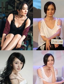 中国十位胸部最大的女明星