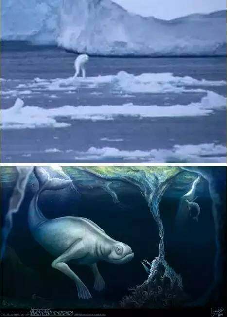 人造生命体Ningen真的存在吗? 人造生命体辛西娅