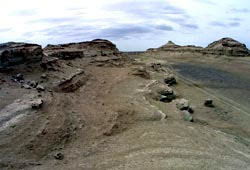 7个地球上最恐怖的地方,你都不允许去蛇岛 地球上最恐怖的怪物