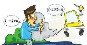 历史上十起最完美的抢劫案