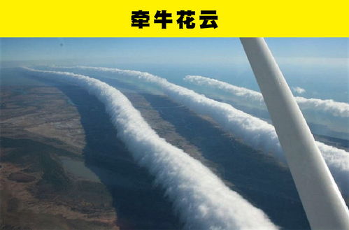 千年难遇的自然现象,你没见过很多! 千年难遇的自然现象