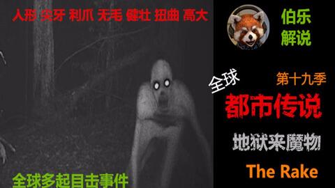 美军一定在研究什么神秘生物,并将其命名为The Rake