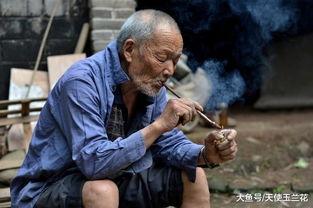 1938年,哈萨德死于饥饿,就像她杀死了无数人的禁食食谱一样 1938年哈萨克逃难到中国来的