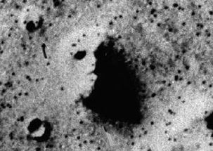 NASA海盗1号和海盗2号于1976年登陆火星