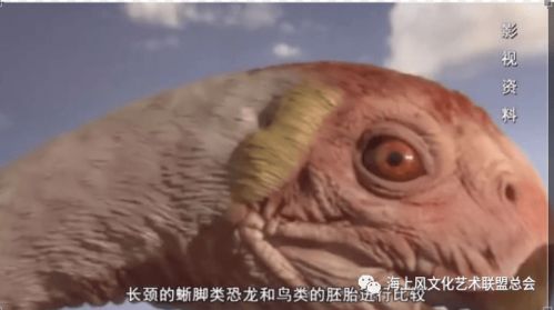 听到国家机密这四个字,大家都立刻知道它有多重要