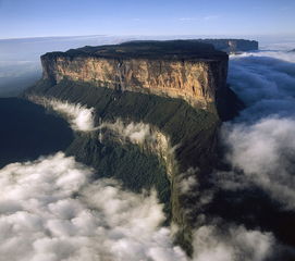 罗赖马山 Mount Roraima 罗赖马山图片