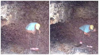 男子走出洞穴时成千上万昆虫形成出口 虫墙堵住出口
