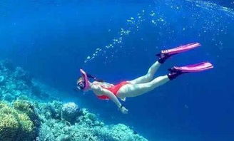 人类徒手潜水记录最深,113米 深度潜水 人类徒手潜水纪录125米