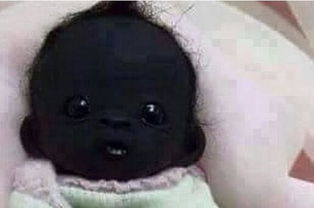 我以前告诉过你世界上最白的孩子