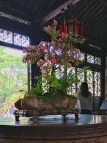 中国四大著名园林,你去过多少? 中国四大著名园林为什么没有圆明园