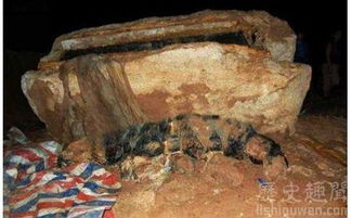若和田事件是僵尸爆发,还有很多问题无法回答 中国和田僵尸事件