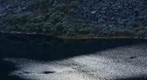 世界十大水怪谣言 水怪出没的传闻 世界十大水怪都有哪些