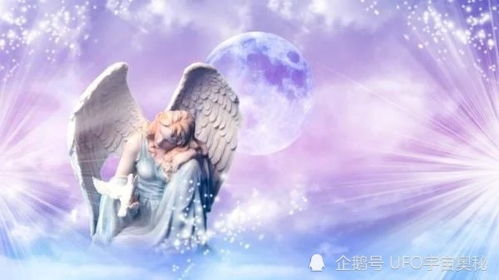 生物界真的有传说中的精灵吗?