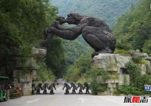 神农架野人真的存在吗? 神农架野人真的存在吗