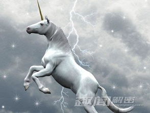 雷鸟是恐龙时代的产物,但有人在19世纪发现了雷鸟