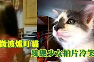 令人发指的微波炉虐猫事件