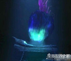 世界上最臭的花,800米内就能闻到它的恶心气味(简介)