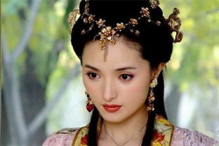 吴三桂投降满清的原因真的只是为了陈圆圆吗?(吴三桂要是赢了满清)