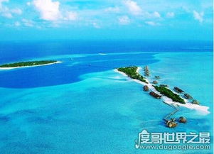 天气变暖,冰川融化,海平面上升,沿海城市将被淹没,但最大的威(天气变暖冰川融化 作文)